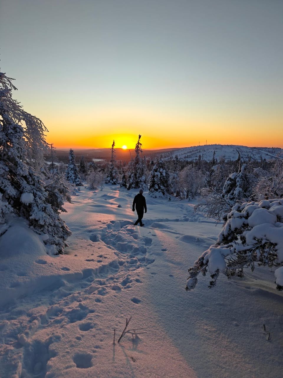 Natural landscape, Winter, Sunset
