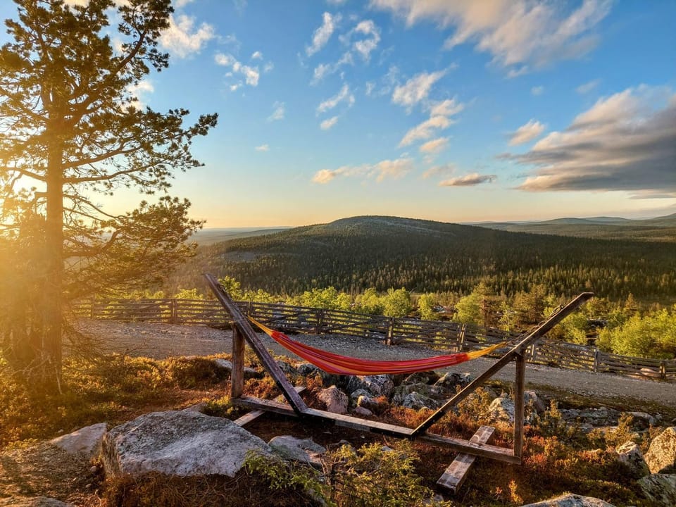 Natural landscape, Summer, Sunset