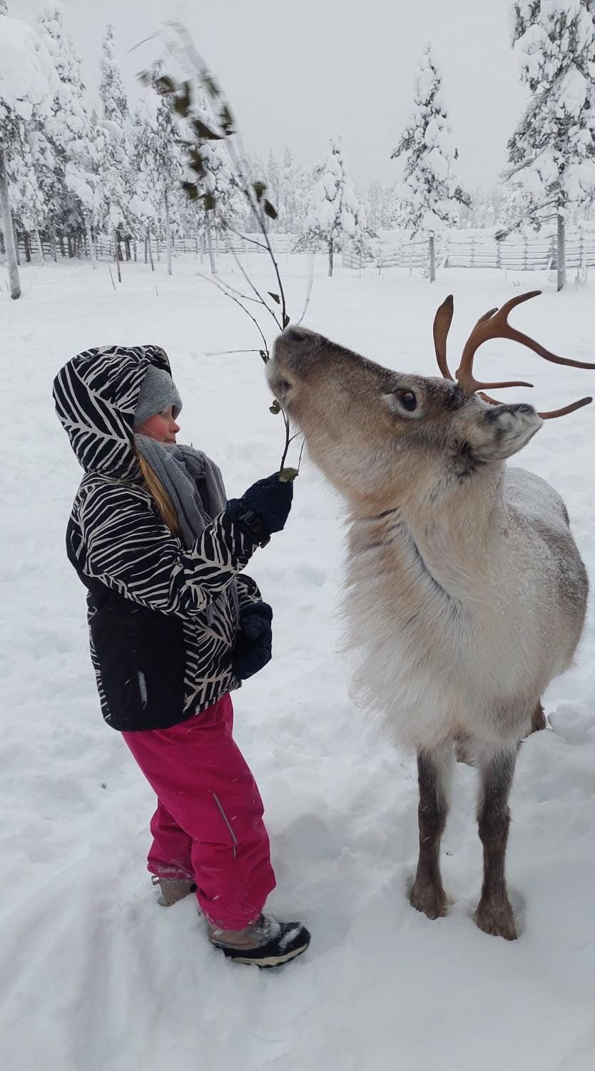 Activities, Winter