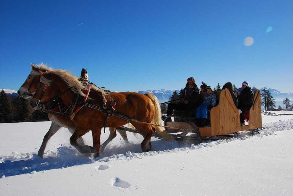 Oberfahrerhof Farm Stay in Trentino-South Tyrol