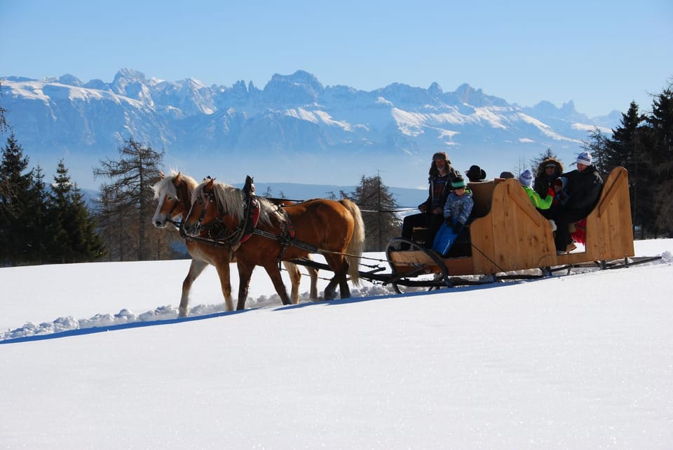 Oberfahrerhof Farm Stay in Trentino-South Tyrol