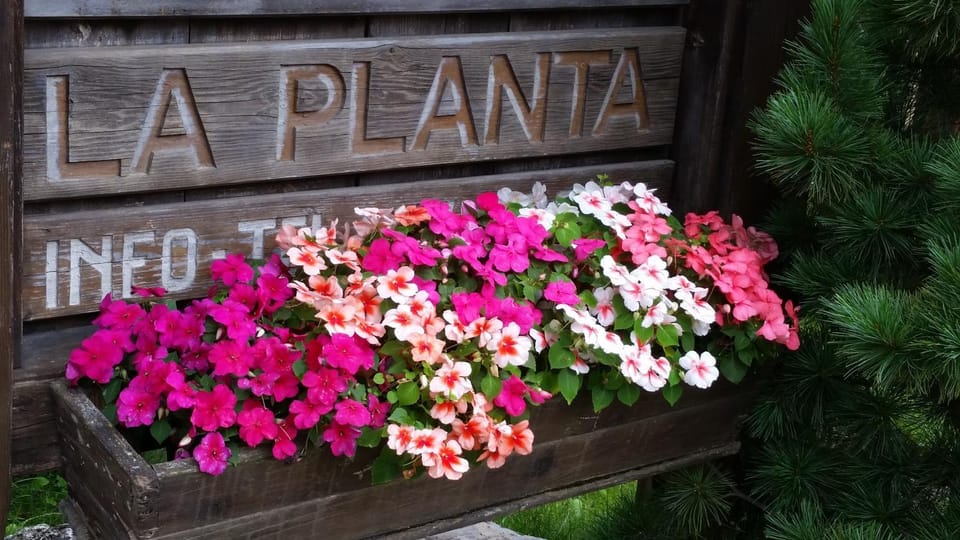 Day, Property logo or sign