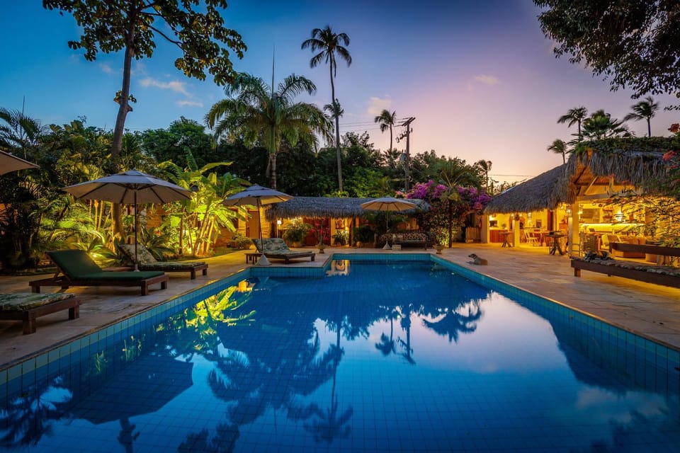 Garden, Garden view, Pool view, Swimming pool, sunbed