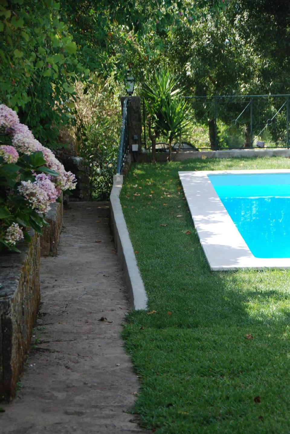 Garden, Pool view, Swimming pool