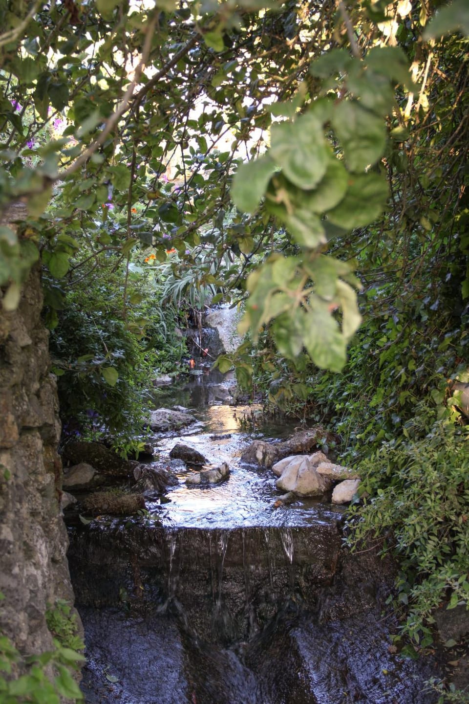 Garden, Decorative detail