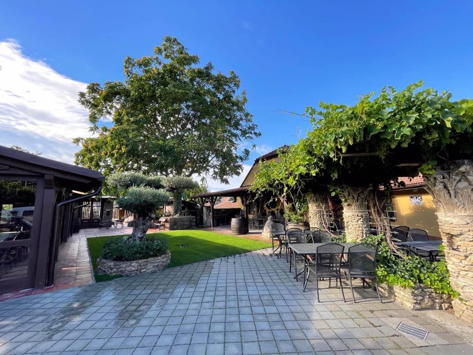 Penzion Archivní sklepy - Valtice Bed and Breakfast in South Moravian Region