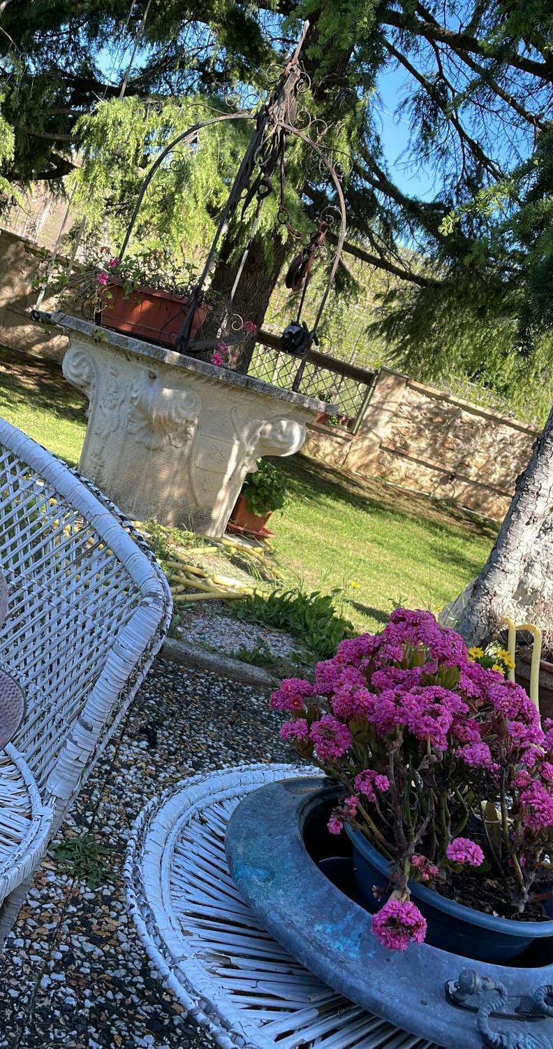 Garden view