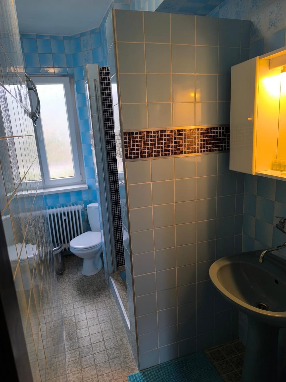 Shower, Toilet, Bathroom