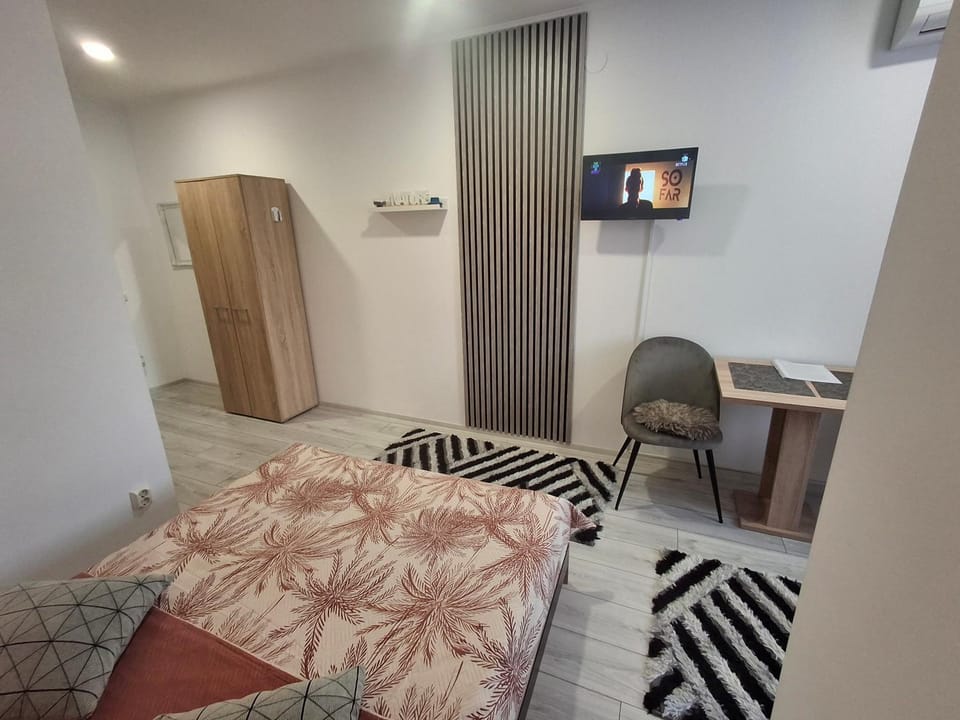 Studio Elvetia Apartment in Serbia