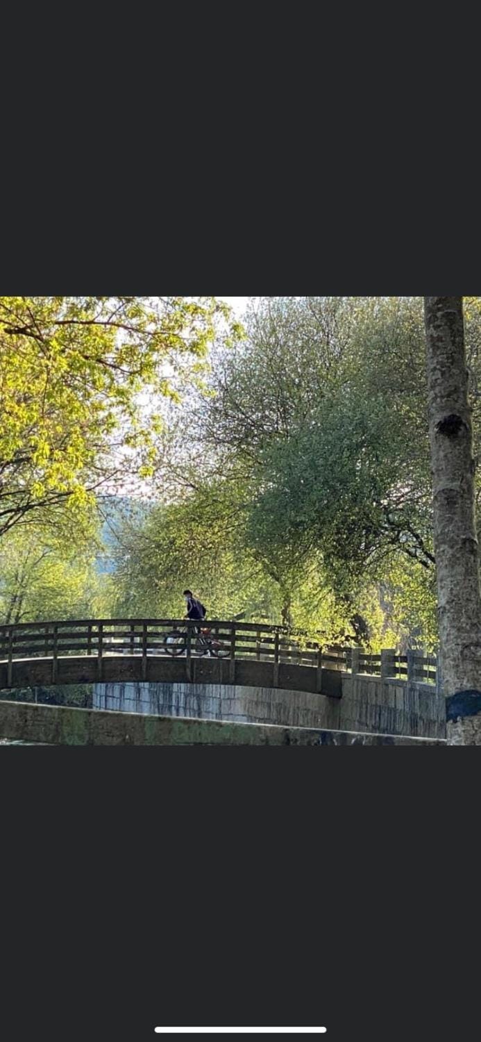 Carmen Apartment in Galicia