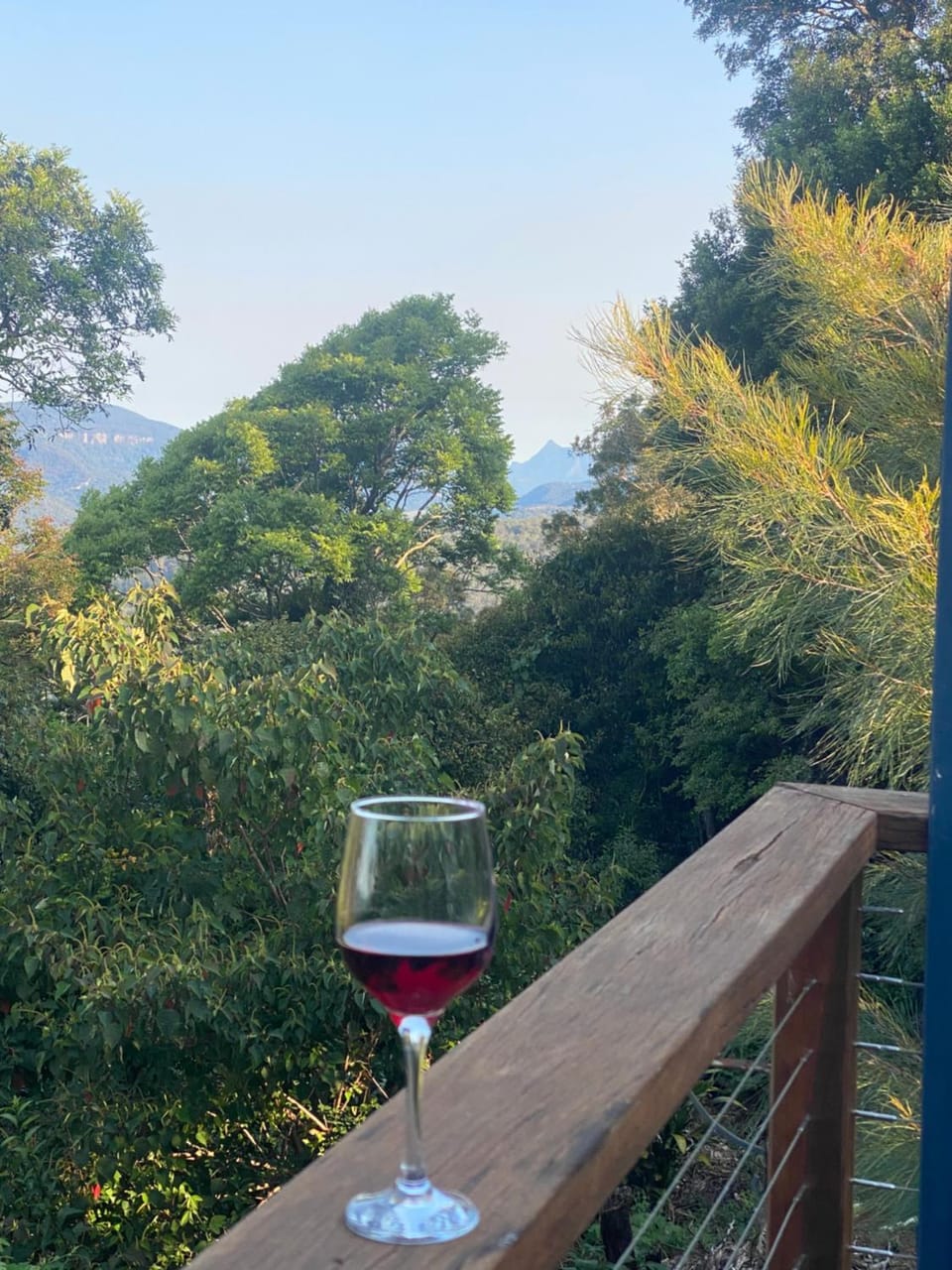 Spring, Natural landscape, Garden, Garden view, Drinks