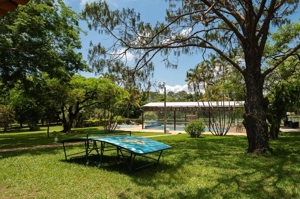 Natural landscape, Garden, Garden view, Pool view, Swimming pool