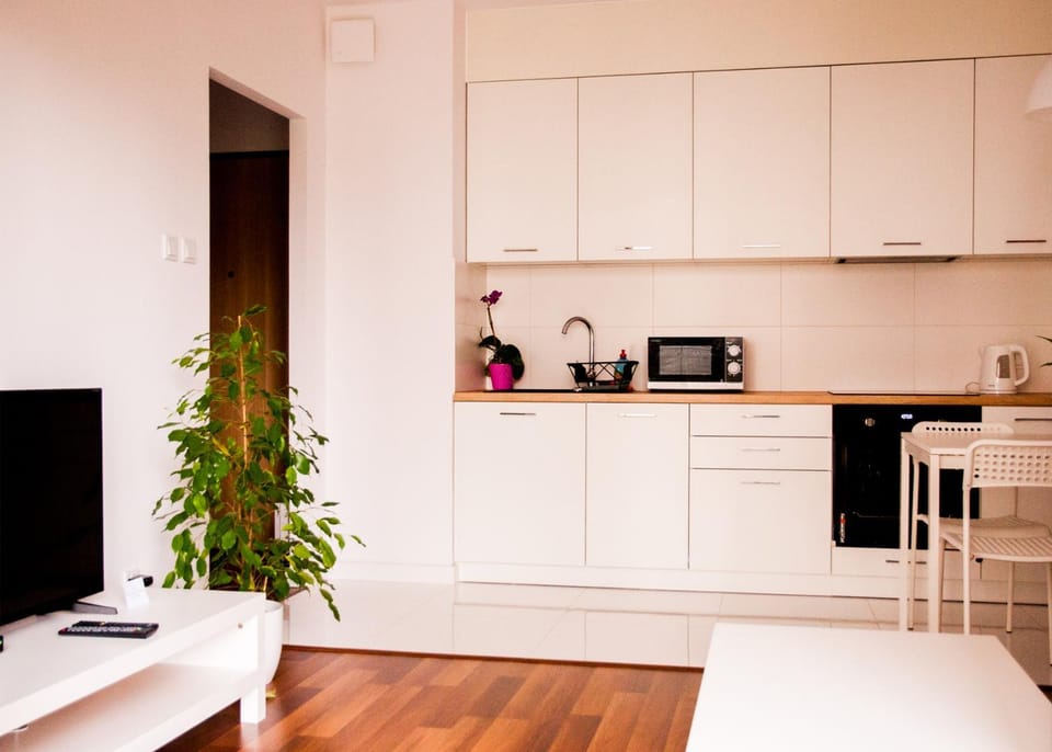 Kitchen or kitchenette, oven, stove