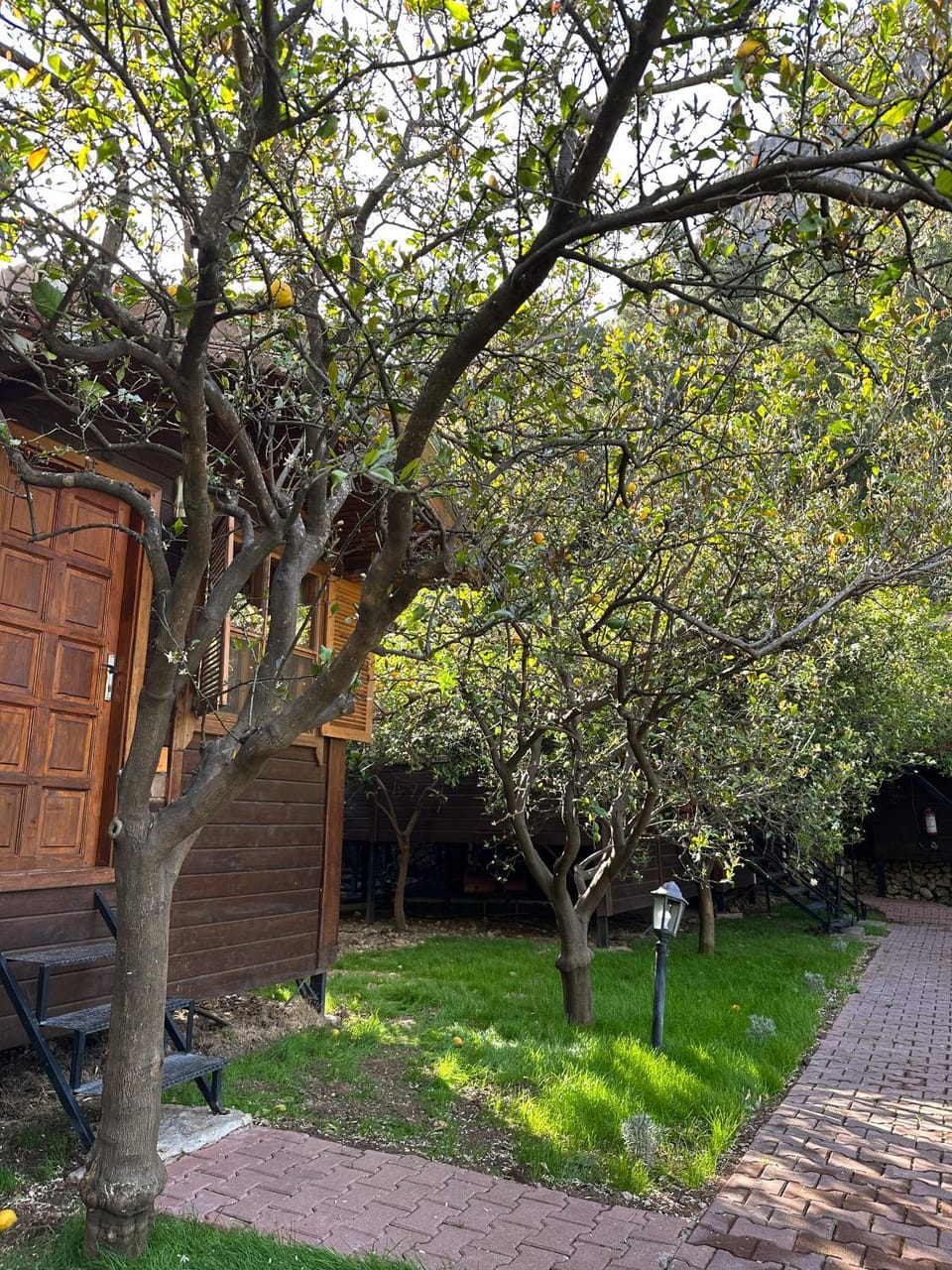 Garden view