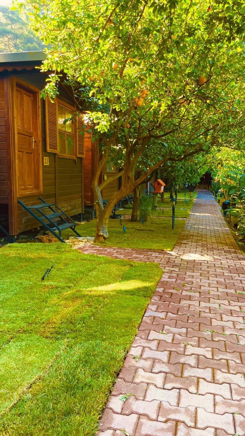 Natural landscape, Garden view