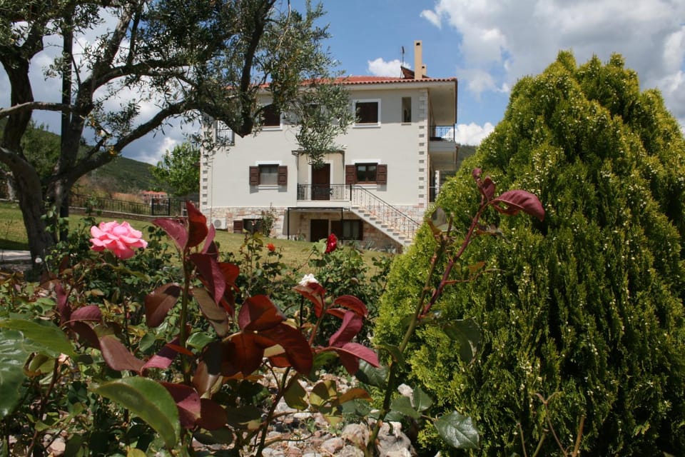 Property building, Garden