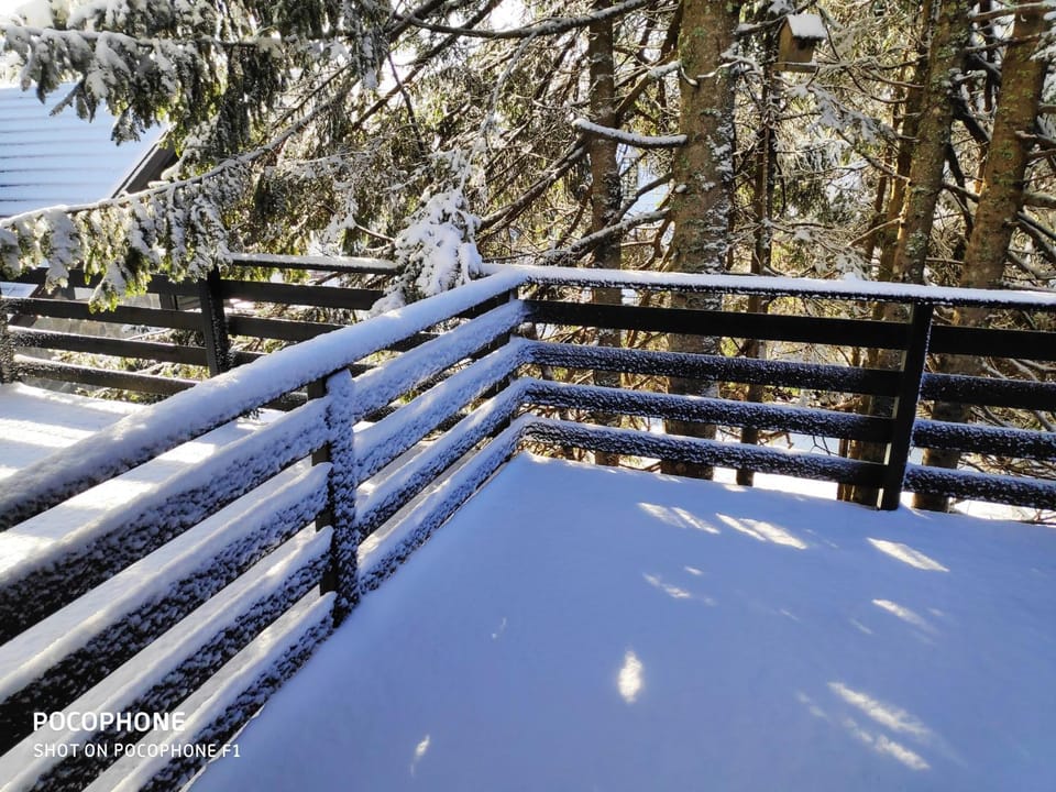 Winter, Balcony/Terrace
