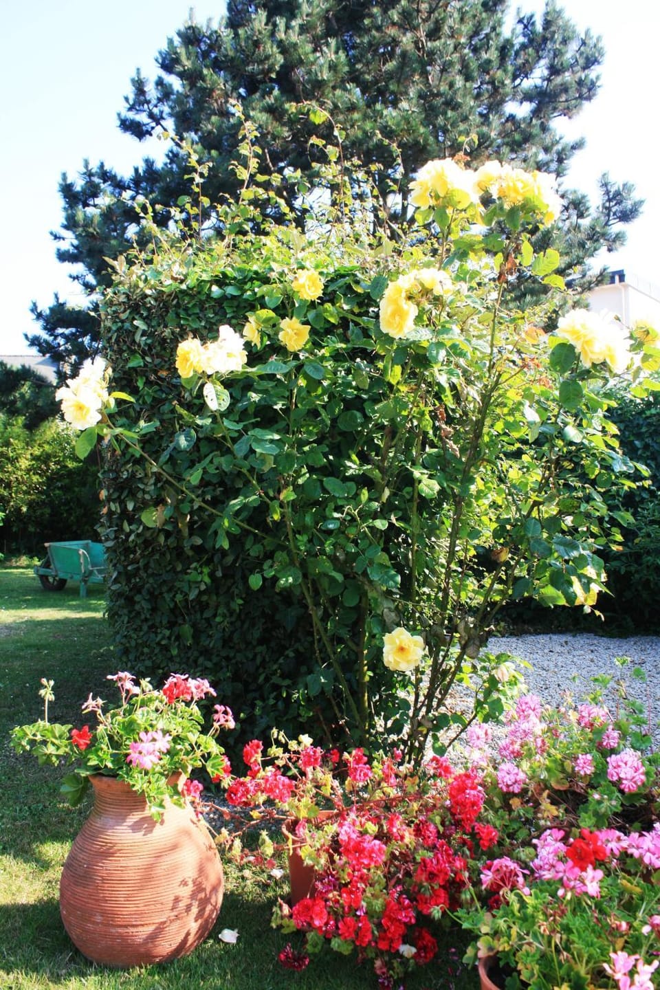 Pension de Kerioual Hotel in Finistere