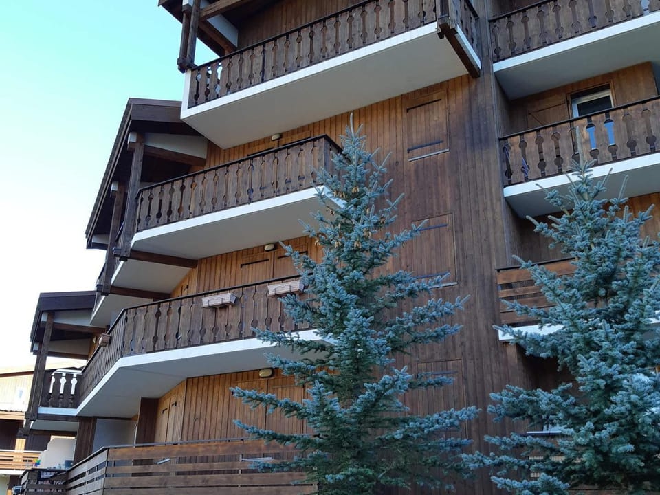 Spacieux 2 Pièces, Vue Pistes, Animaux Admis - FR-1-516-60 Apartment in Les Deux Alpes
