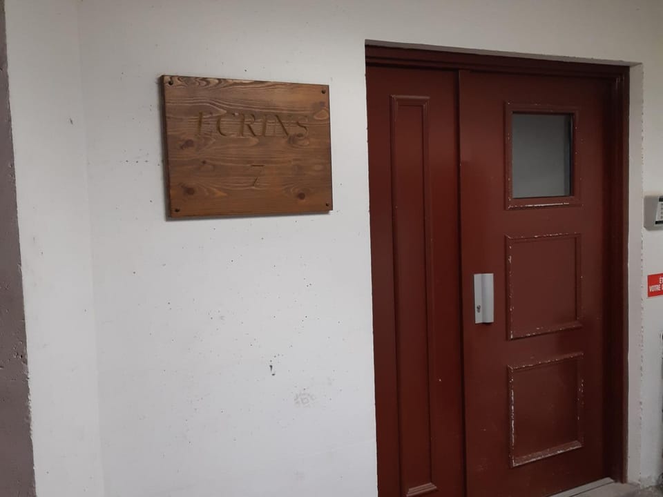 Spacieux 2 Pièces, Vue Pistes, Animaux Admis - FR-1-516-60 Apartment in Les Deux Alpes