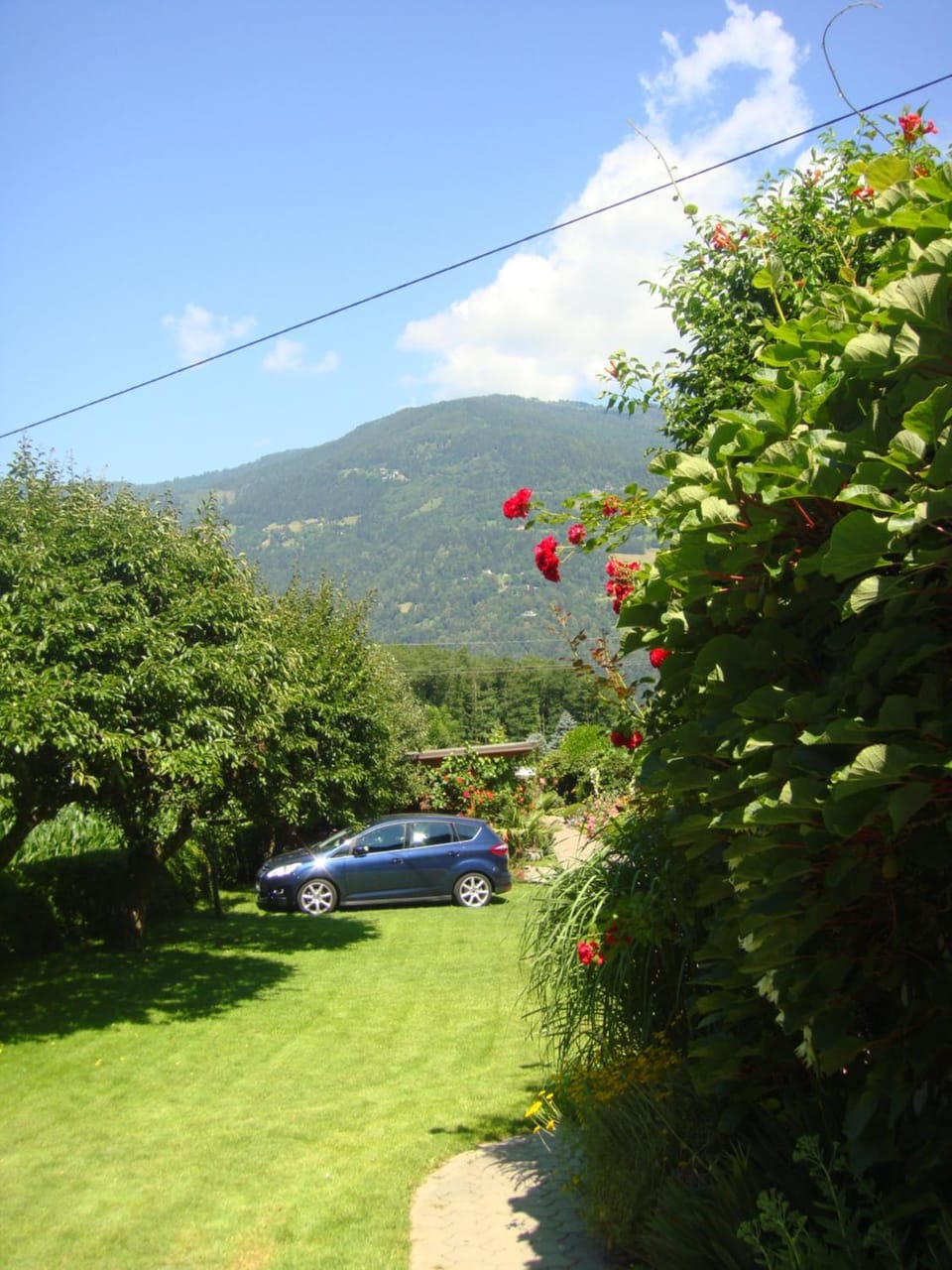 Garden, Decorative detail
