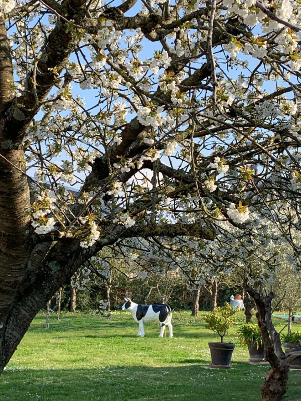VILLA CATHY House in Cabourg