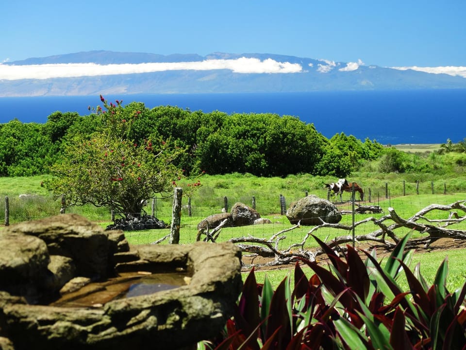 Natural landscape
