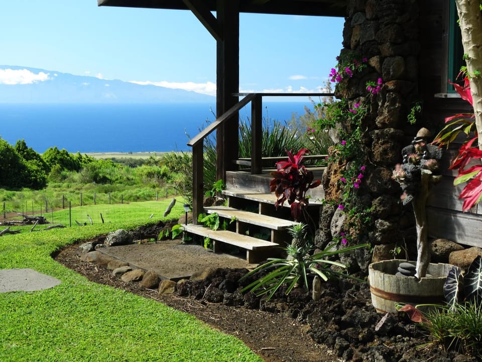 Garden, Sea view