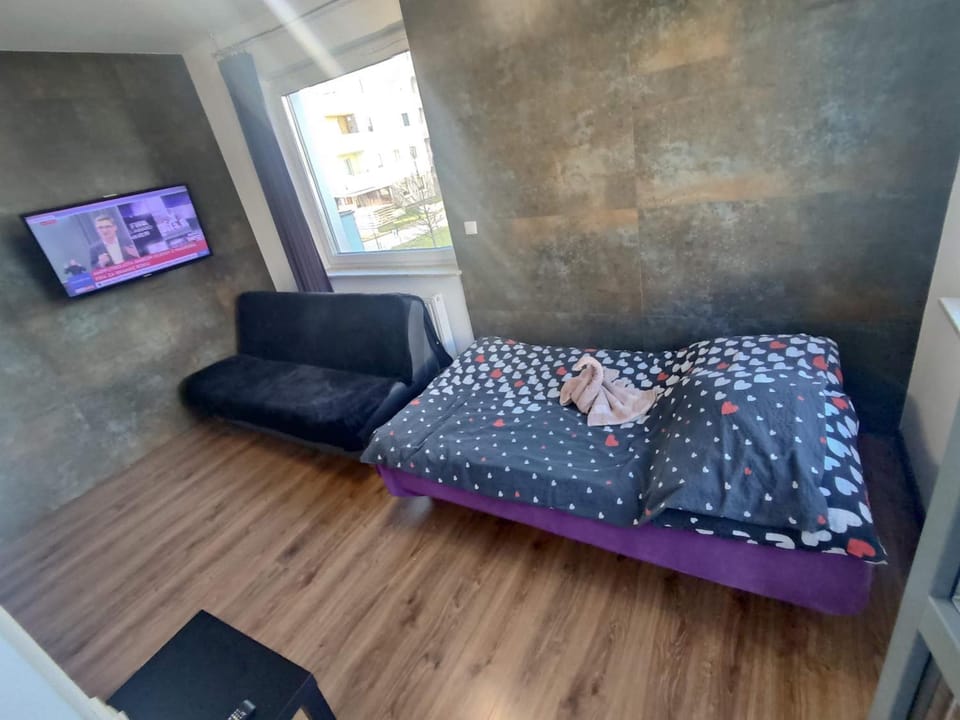 Bed, TV and multimedia, Photo of the whole room