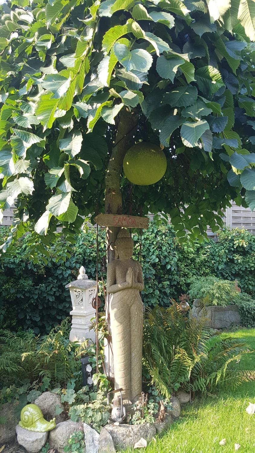Garden, Garden view