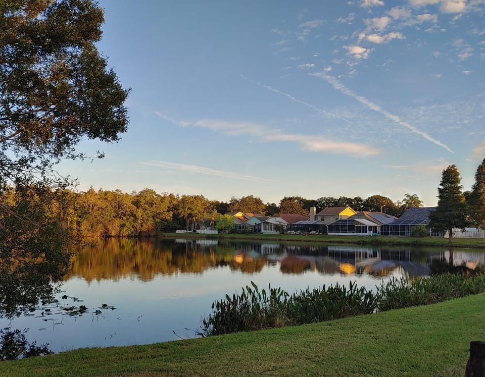 Neighbourhood, Fishing, Lake view