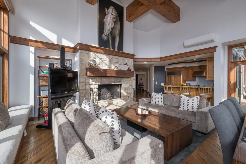 Day, TV and multimedia, Living room, fireplace, furniture, air conditioner