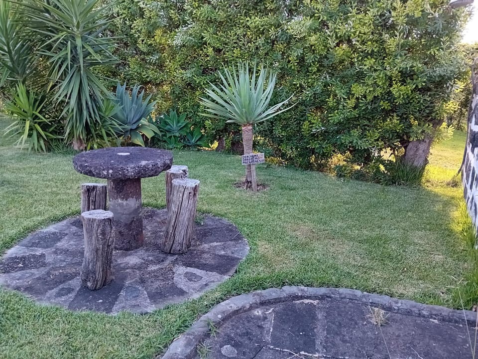 Off site, Natural landscape, Garden, Garden, Seating area