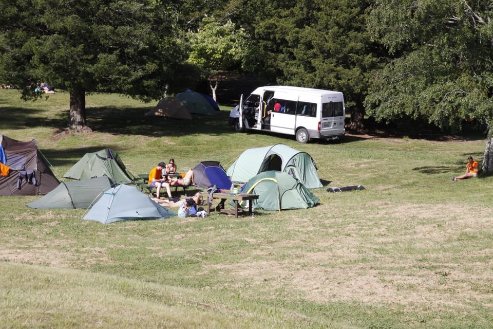 Summer, BBQ facilities, Garden, Garden, Dining area, On site, group of guests