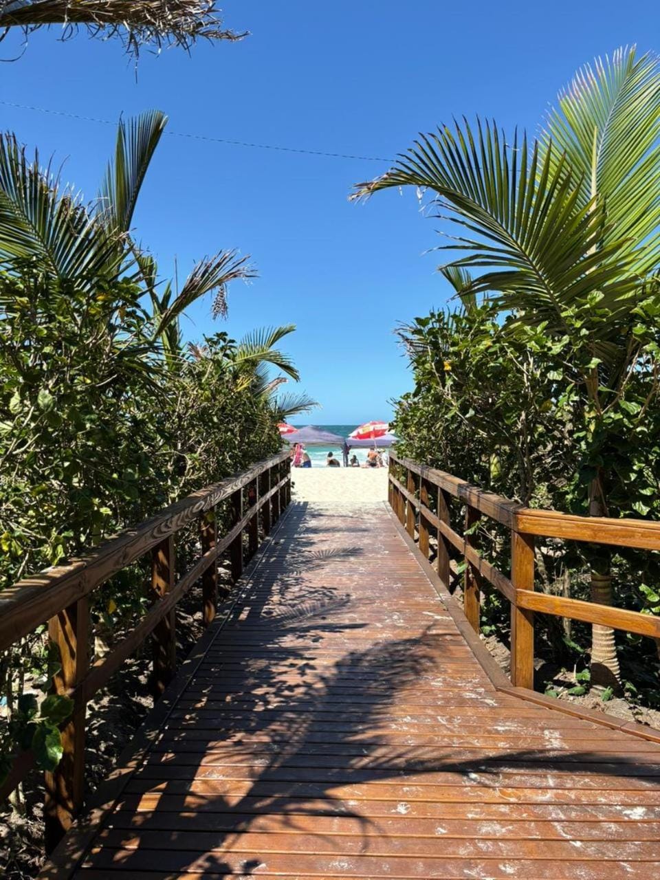 Natural landscape, Beach, Beach, Sea view