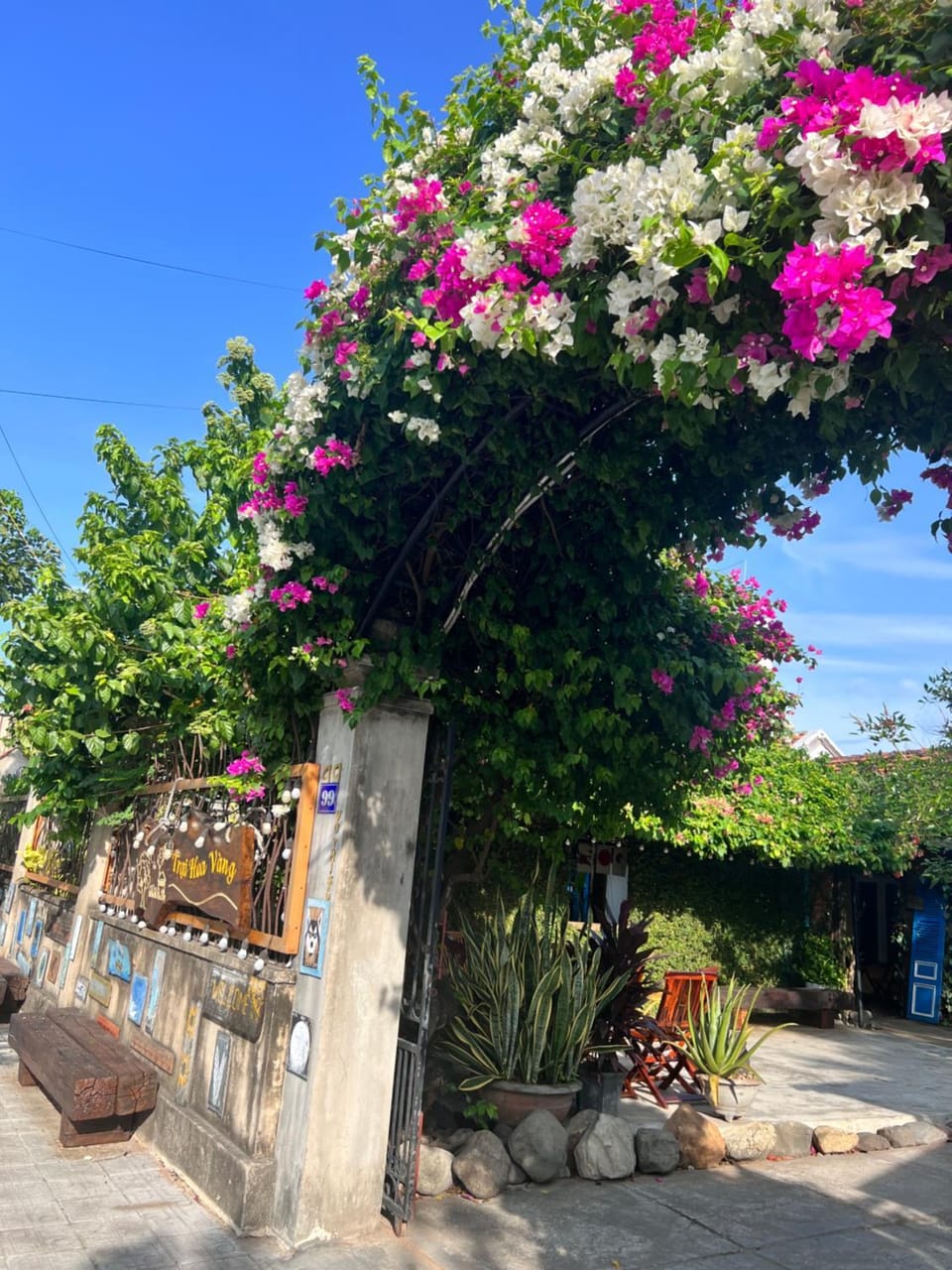 Garden view