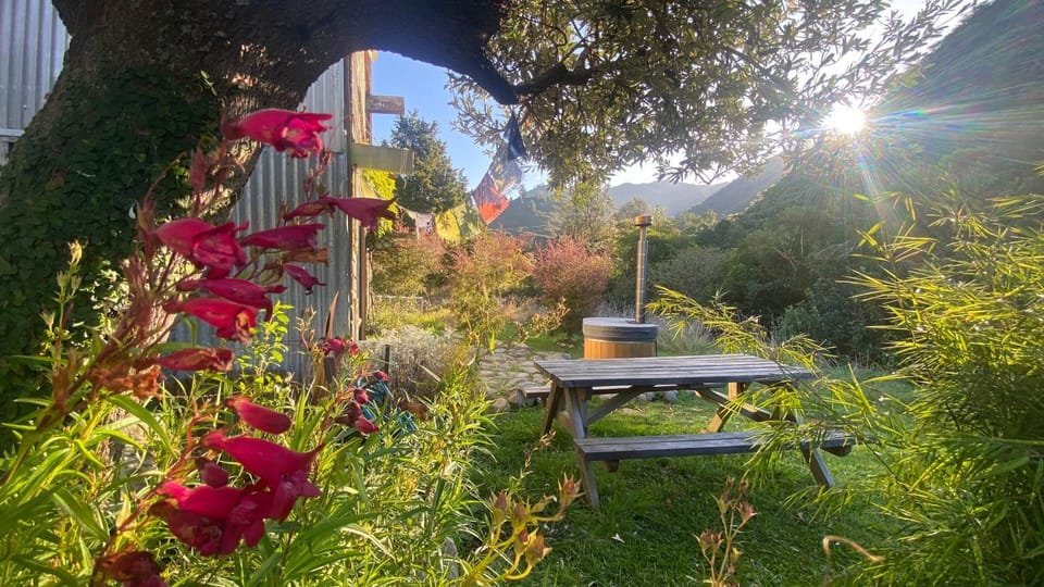 Alpacas Off Grid - Eco Cabin Cabin in Tasman District, Tasman, New Zealand