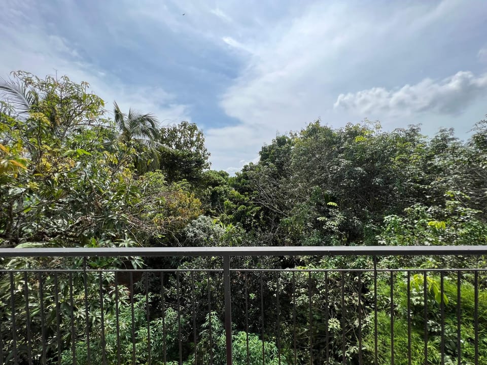 Natural landscape, Garden, Balcony/Terrace