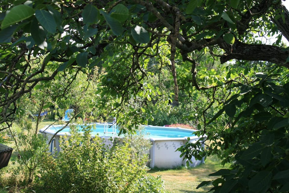 Garden, Pool view