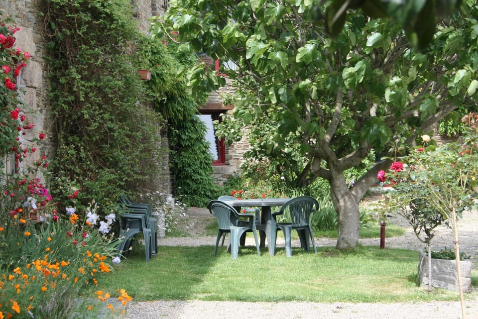 Garden, Inner courtyard view