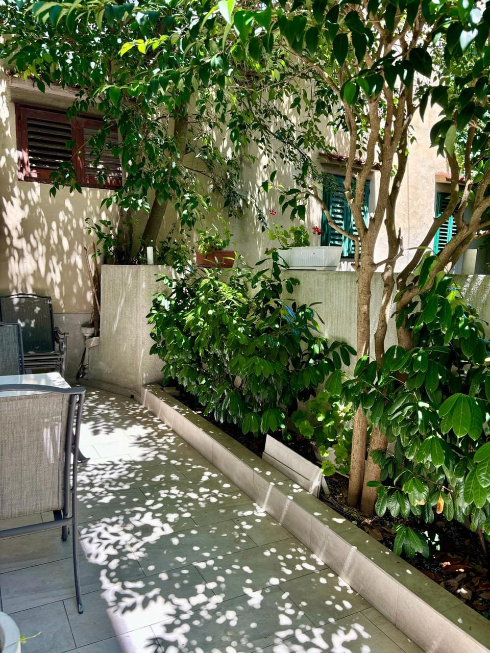 Patio, Day, Garden, Balcony/Terrace, Garden view