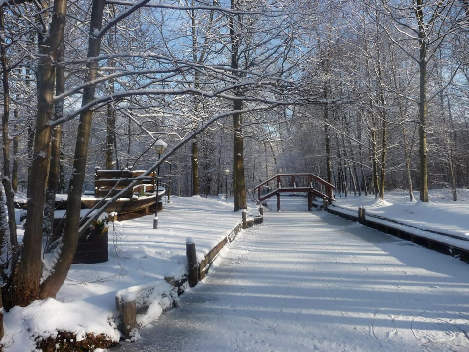 Natural landscape, Winter
