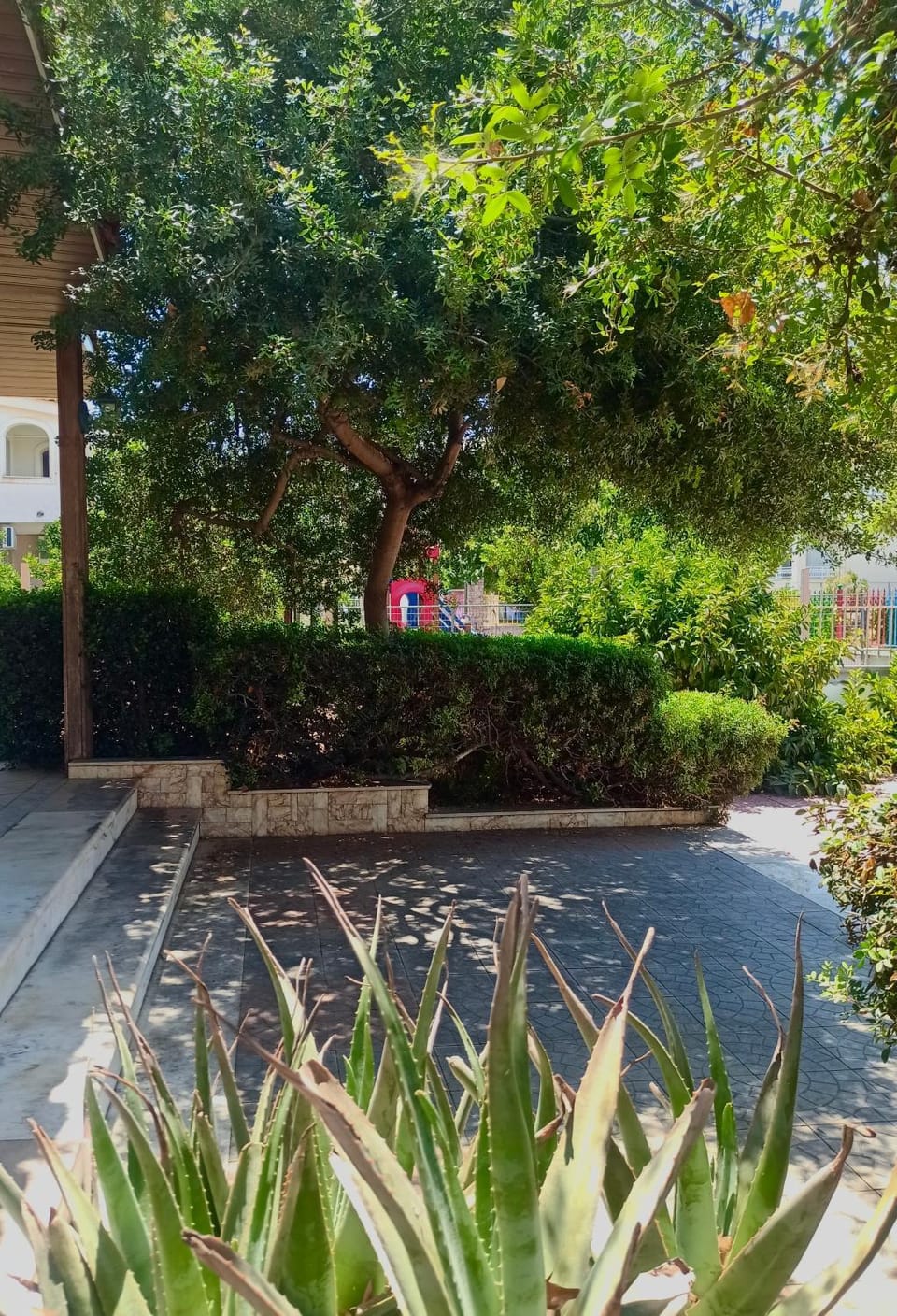 Natural landscape, Garden, Garden view