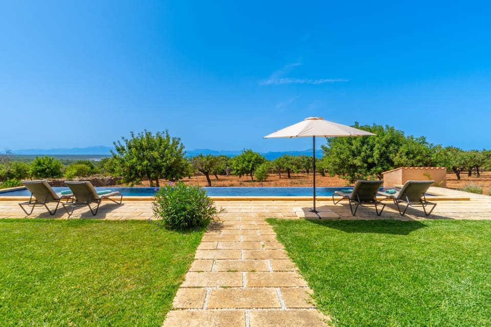 Patio, Spring, Day, Natural landscape, Garden, Garden view, Pool view, Sea view, Swimming pool, sunbed
