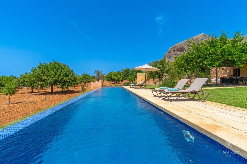 Nearby landmark, Spring, Day, Natural landscape, Garden, Garden view, Mountain view, Pool view, Swimming pool, sunbed