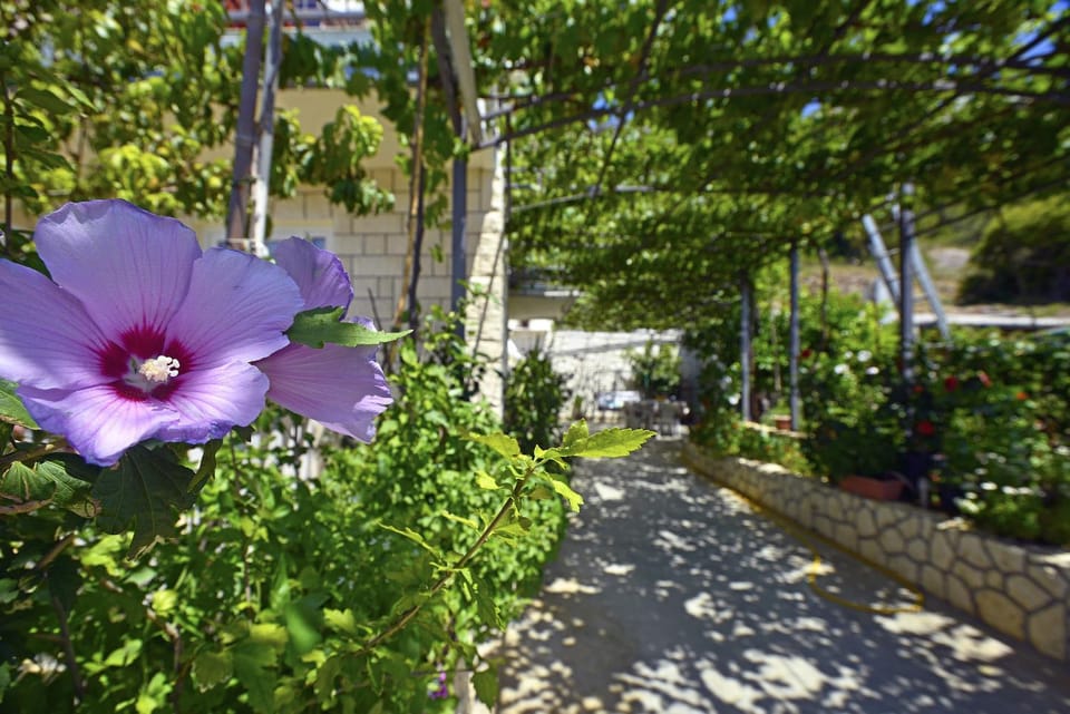 Garden, Balcony/Terrace