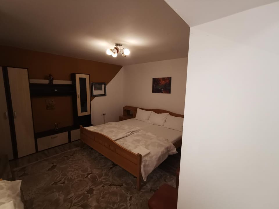vila elly Bed and Breakfast in Romania