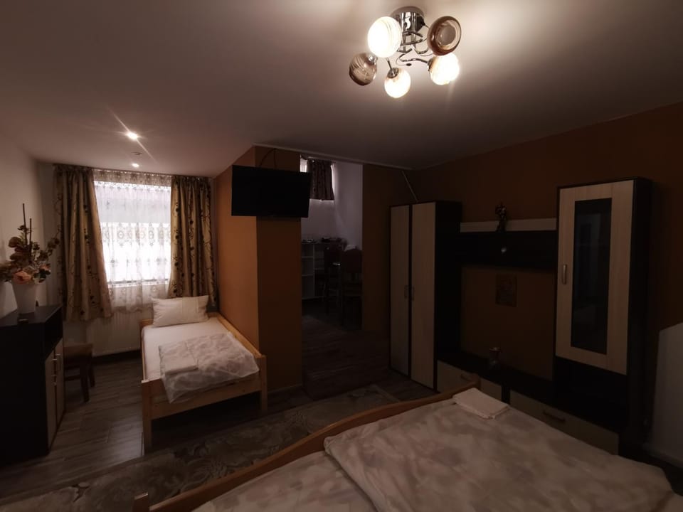 vila elly Bed and Breakfast in Romania