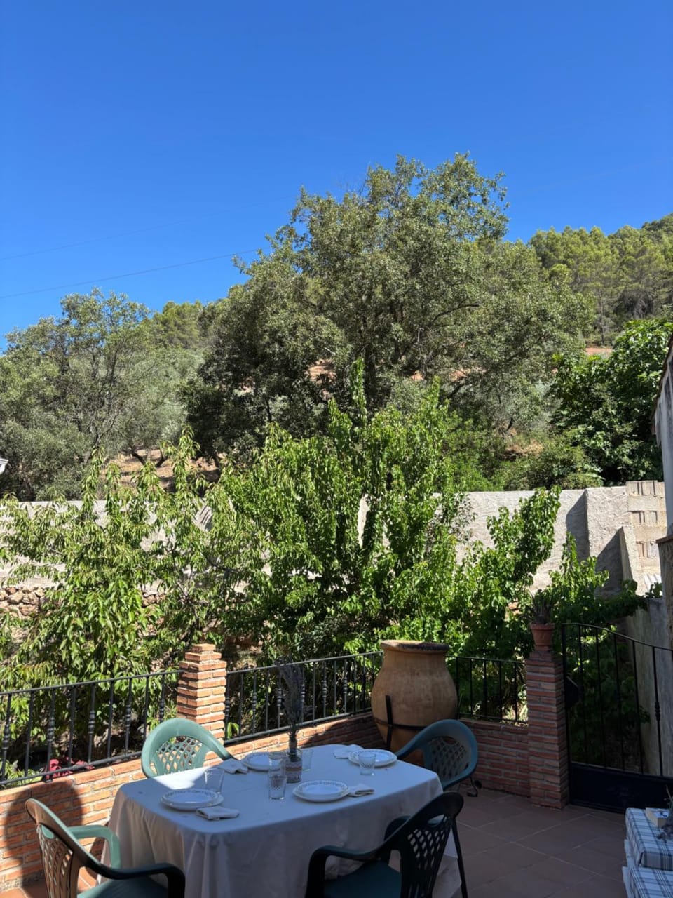 Patio, Spring, Day, Natural landscape, Garden