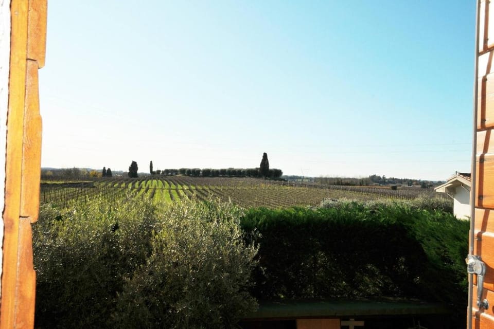 Natural landscape